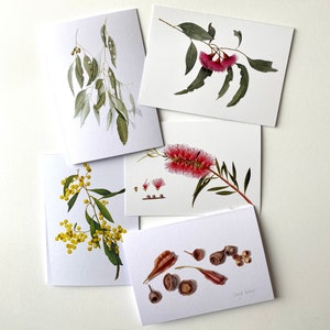 Set of 5 cards - Australian Natives 2, Australian native plants, Australian drawings, Australian gift
