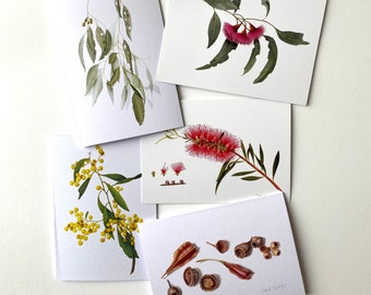 Set of 5 cards - Australian Natives 2, Australian native plants, Australian drawings, Australian gift