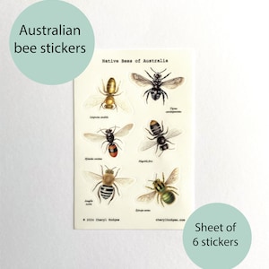 May include: A sheet of six stickers featuring detailed illustrations of Australian native bees. The stickers are on a white background, with the text "Native Bees of Australia" and "Sheet of 6 stickers". The stickers are approximately 5 cm by 5 cm.