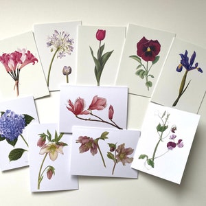 Conjunto de 10 tarjetas de felicitación de acuarela de flores: tarjetas con estampado floral, regalo para amantes de las plantas, tarjetas de acuarela botánica