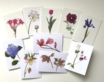 Set of 10 flower watercolour greeting cards - floral print cards, plant lover gift, botanical watercolour cards