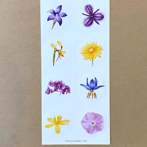 Folha de adesivos da Flora do Território da Capital Australiana. Adesivos de flores silvestres de Canberra, adesivos de flores nativas australianas, adesivos de planejador