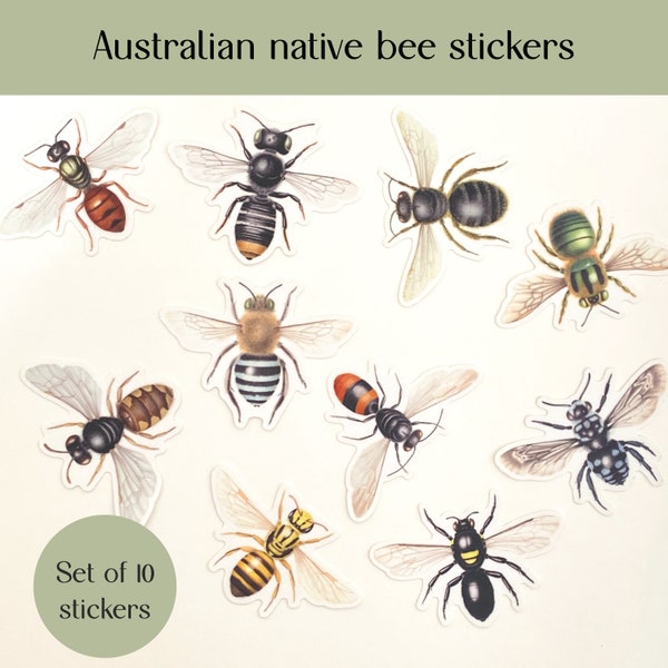 Australian native bee laptop stickers set of 10, Masked Bee, Wasp Mimic Bee, Blue Banded Bee, bee sticker, water bottle sticker