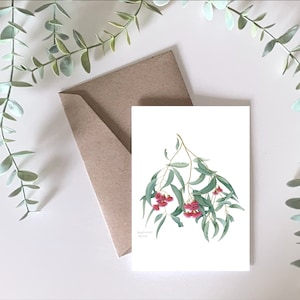 Cartão de felicitações de goma de floração vermelha, Eucalyptus leucoxylon - Cartão de felicitações australiano, planta nativa australiana, presente australiano