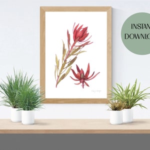 Arte de pared imprimible de Leucadendron, impresión de acuarela botánica de Leucadendron, arte de pared digital, descarga digital