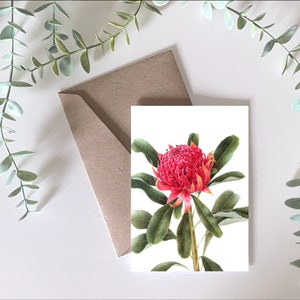 Waratah - cartão australiano, planta nativa australiana