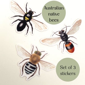 May include: A set of three stickers depicting detailed illustrations of Australian native bees. The stickers show different bee species with intricate wing and body details, with the text "Australian native bees" and "Set of 3 stickers".