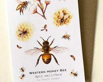 Western Honey Bee - Australian Greeting Card, Honeybee watercolour painting, beekeeper gift