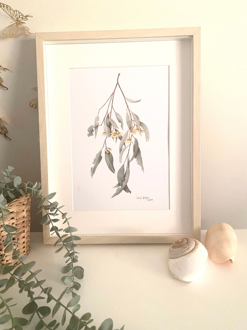 May include: A framed watercolor print of eucalyptus branches with green leaves and small yellow flowers. The artwork is in a light wood frame and is displayed on a white surface. Decorative seashells and a woven basket with greenery are also present.