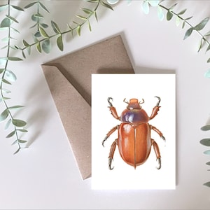 Christmas Beetle - Australian Greeting Card, Australian native insect, Australian drawings, Australian gift
