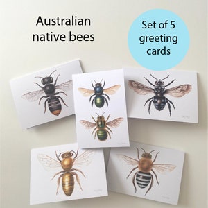 Set of 5 Australian native bee cards - Australian Bees, Australian native gift, Australian drawings, Australian gift