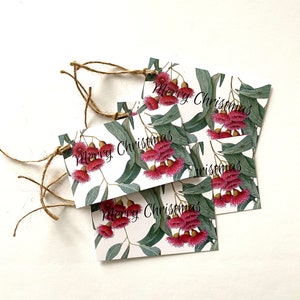 Etichette regalo di Natale Set da 5 - Eucalyptus leucoxylon