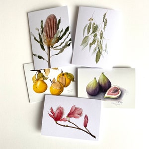 Set of 5 Cards - Banksia, Eucalyptus, Figs, Quinces, Magnolia, botanical drawings