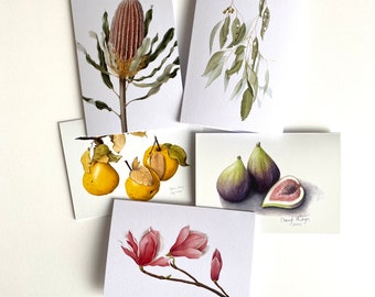 Set of 5 Cards - Banksia, Eucalyptus, Figs, Quinces, Magnolia, botanical drawings