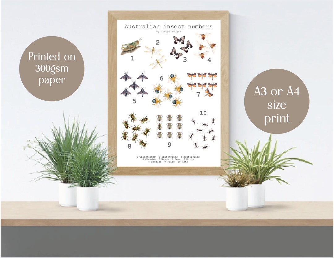 Australian Insect Number Print, Counting 1-10 With Australian Native ...
