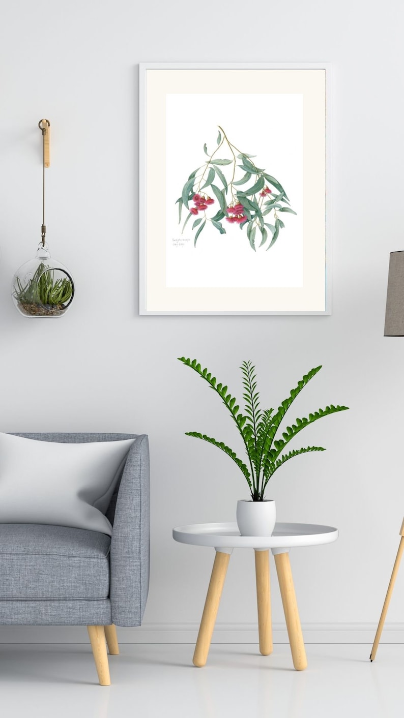 Wildflower wall decor, set of 3 Australian botanical watercolour prints A4 or A3 Wattle Acacia, Eucalyptus Australian native prints image 4