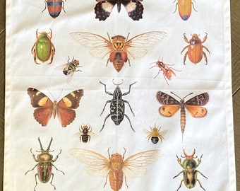 Tea Towel - Insects of Australia, gift for insect lover,Australian native gift, watercolours