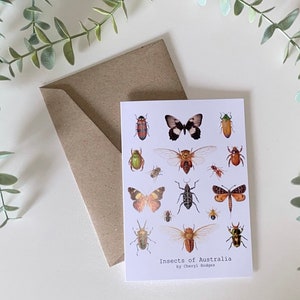 Insects of Australia - Australian Greeting Card, Australian native insect, watercolour paintings, Australian gift