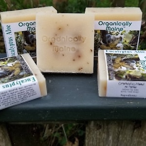 Eucalyptus Aloe Two Pack