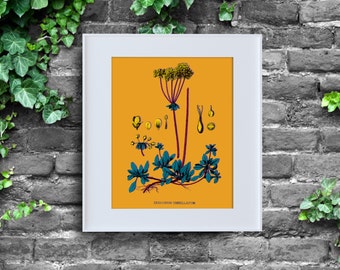 Andy Warhol ha ispirato Eriogonum umbellatum, Download istantaneo, Stampa poster, Pop Art, Decorazione murale digitale, Botanica, Grano saraceno, 8x10, Wild Warhol
