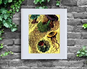 Andy Warhol ha ispirato Haeckel Discomedusae, Download istantaneo, Stampa poster, Pop Art, Decorazione murale digitale, Verde acqua rosso giallo, 8x10, Wild Warhol