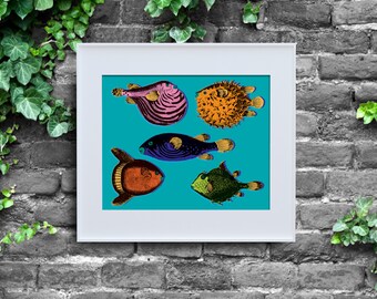 Andy Warhol inspiró Haeckel Blowfish, Descarga instantánea, Impresión de carteles, Arte pop, Decoración de pared digital, Teal, Biología, 8x10, Warhol salvaje