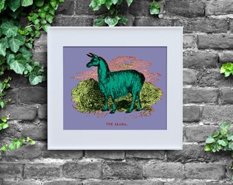 Andy Warhol Inspired Llama, Instant Download, Poster Print, Pop Art, Digital Wall Decor, Purple Lime Green, Cute Animal, 8x10, Wild Warhol