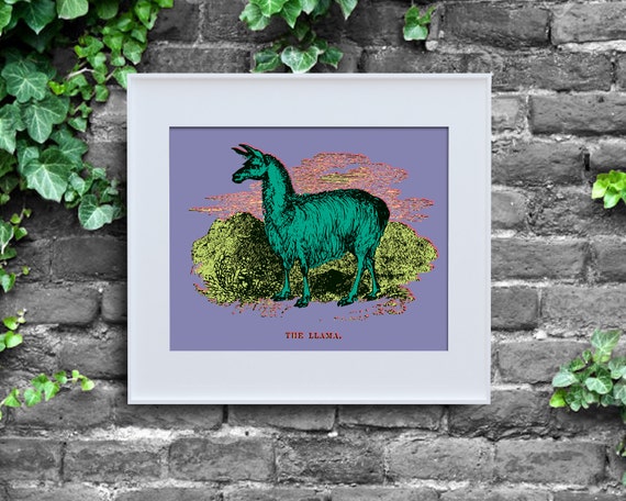 Andy Warhol Inspired Llama, Instant Download, Poster Print, Pop Art, Digital Wall Decor, Purple Lime Green, Cute Animal, 8x10, Wild Warhol