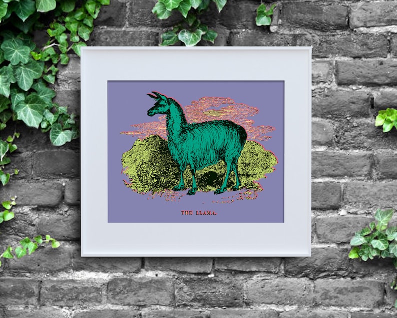 Puede incluir: Una ilustraci&oacute;n vintage de una llama en un esquema de color verde y azul, sobre un fondo morado con nubes amarillas y verdes. El texto "THE LLAMA" est&aacute; impreso debajo de la imagen.