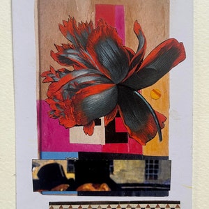 Flor Fantasia