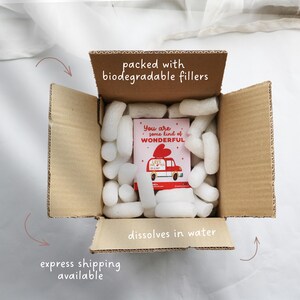 May include: Open cardboard box filled with white packing peanuts and a small card. The card reads "You are some kind of WONDERFUL" with a red car graphic. Text on the box reads "packed with biodegradable fillers" and "dissolves in water".