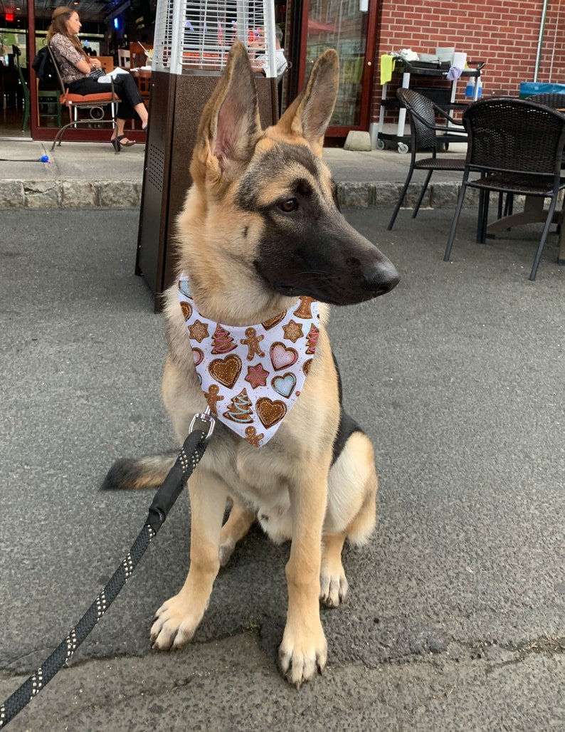 Ingwer Brot Hund Bandana Weihnachten Bandana Polyester Etsy