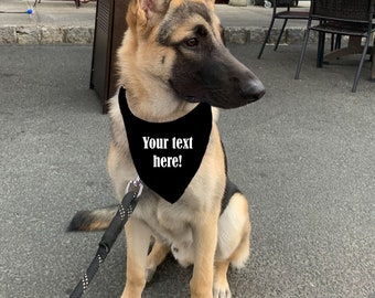 PAÑUELO PERSONALIZADO PARA PERROS, Jugador de equipo, Pañuelo para perro de equipo deportivo, Pañuelo para perro, Perros, Regalo para perro, Regalo para cachorro, Perro nuevo, Accesorios para mascotas, Mascotas
