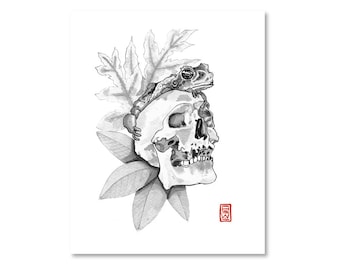 Botanical / Frog and Skull / Black and White / Fine Art Print / Giclee / Japanese Ink  / Yokai Illustration