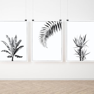 Succulent Wall Art Set, Cactus Black and White Prints, Fern Tropical PRINTABLES, Botanical Palm Leaf Prints, Digital Download Leaf Prints