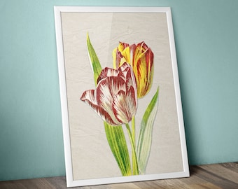 Vintage Tulips print, floral wall art, wall decor, tulip DIGITAL print,  vintage tulip print, digital download printable, instant home decor