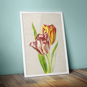 Vintage Tulips print, floral wall art, wall decor, tulip DIGITAL print,  vintage tulip print, digital download printable, instant home decor