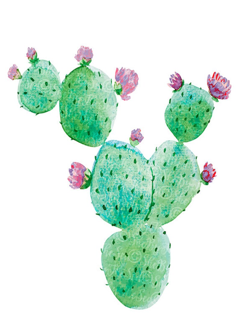 Succulent Wall Art, Printable Cactus, Succulent Print Art, Aquarelle Cactus Art Print, Botanical Print, Cactus Wall Decor, Digital Download image 2