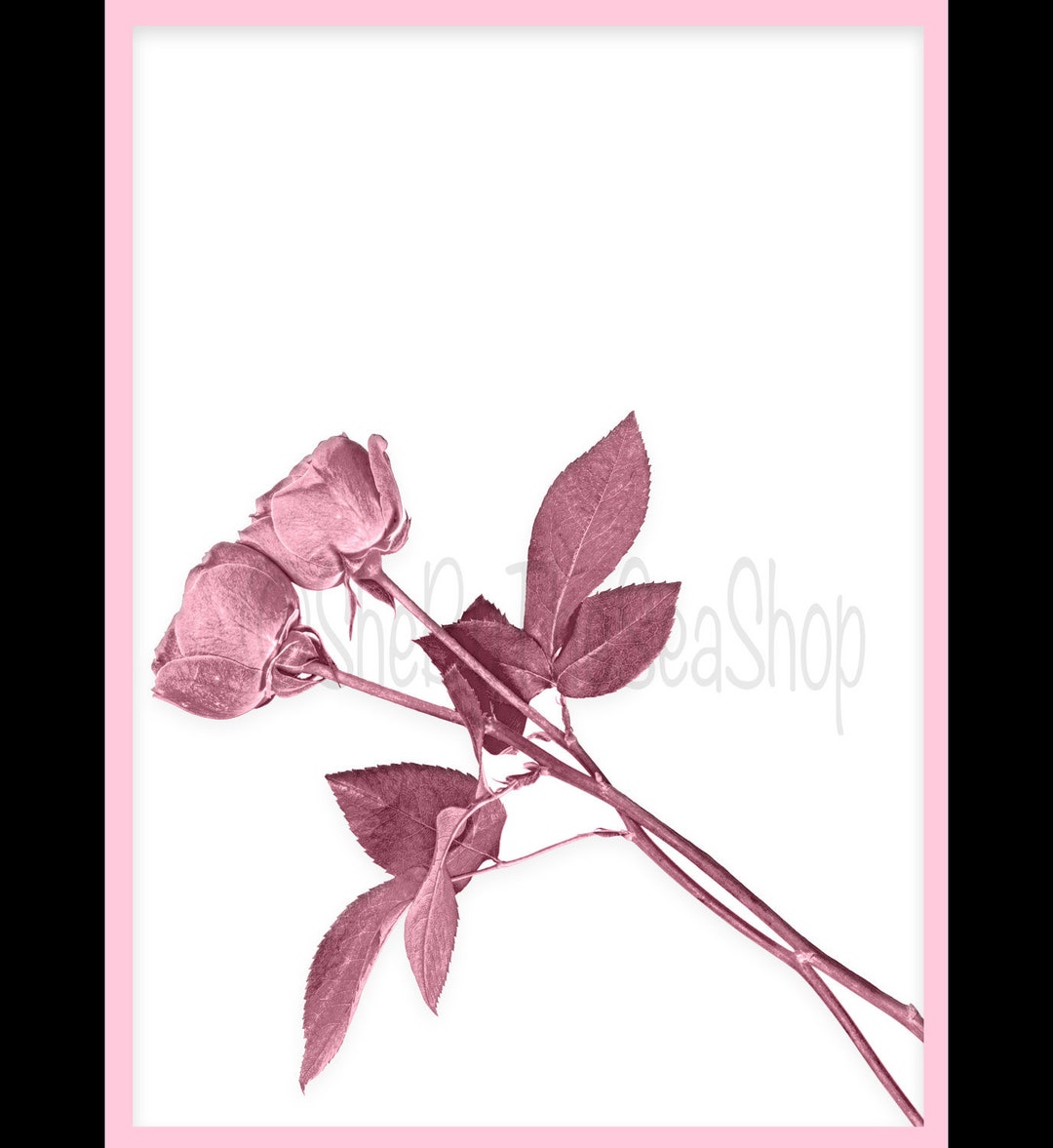 Pink Roses Prinatable Pink Roses Printable, Floral Prints Set, Pink Flowers Wall Art ...