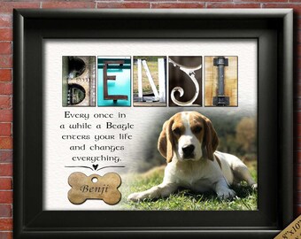 beagle memorial