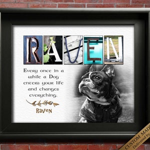 May include: A black and white photo of a French Bulldog with the name "Raven" spelled out in colorful letters. The quote "Every once in a while a Dog enters your life and changes everything." is printed below the photo.