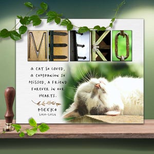 Gift for Cats Memorial idea Customized Portrait Photo Cat Memory Art Remembrance Picture