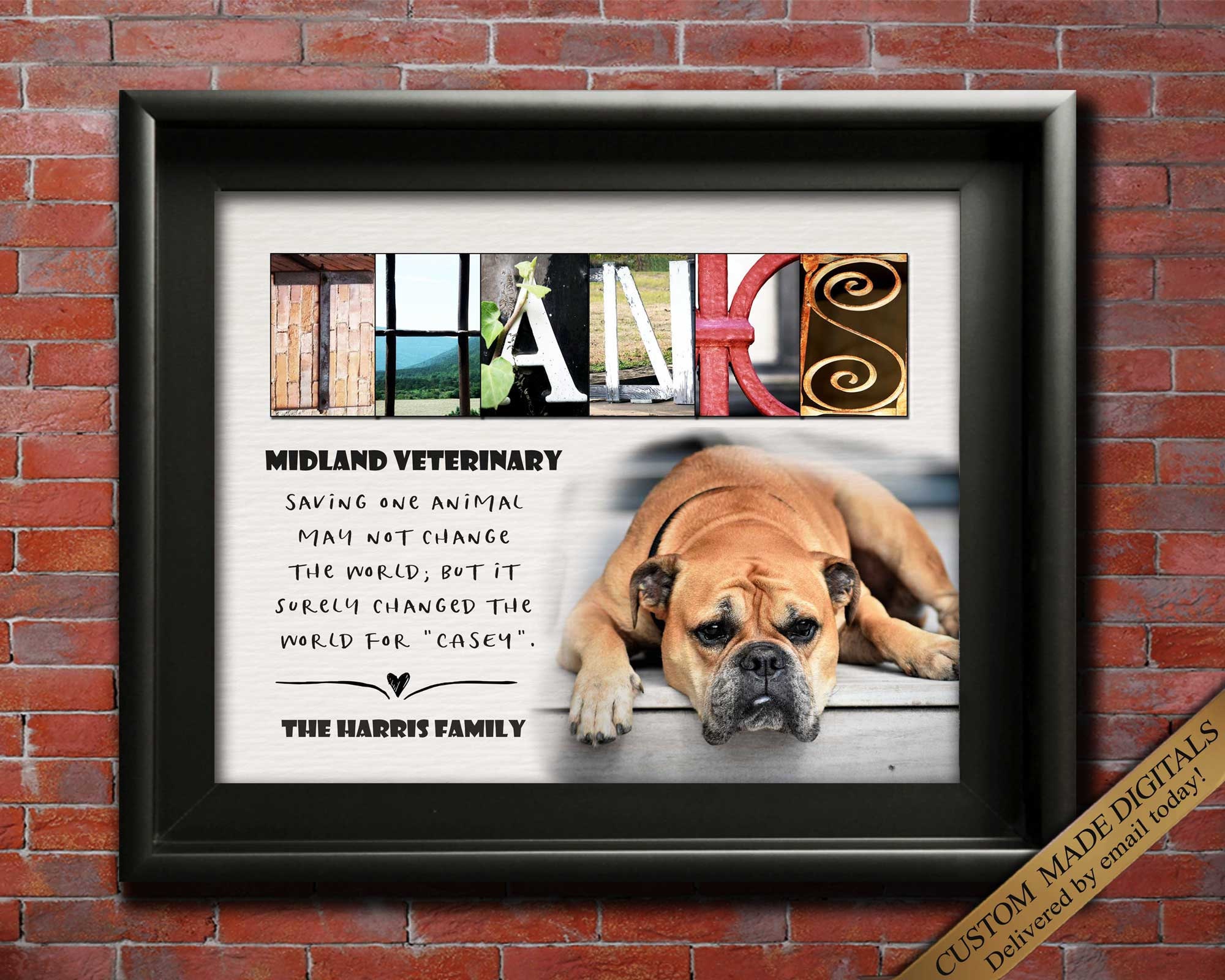 Veterinarian Gift for Veterinarian Gifts Veterinary Gift for - Etsy