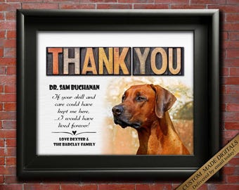 Veterinarian Gift Thank You For Vet Personalized Veterinarians Gifts Pet Photo Appreciation Veterinary Nurse