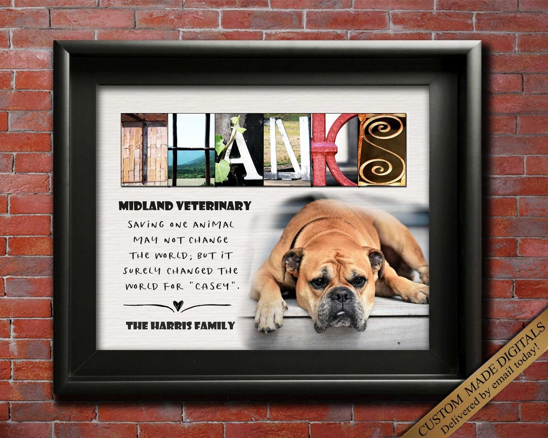Veterinarian Gift Vet Tech Gift for Veterinary Wall Art, Vet Thank You Gift Vet Tech Week