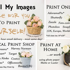 May include: A graphic with the text "All My Images Are For You To Print Yourself!" with a basket of pink flowers and a white pot with pink flowers. The text "PRINT ONLINE" is in the upper right corner with a list of online print services. The text "LOCAL PRINT SHOP" is in the lower left corner with a list of local print shops. The text "PRINT AT HOME...or work" is in the lower right corner with the text "using photo paper Matte or Luster".