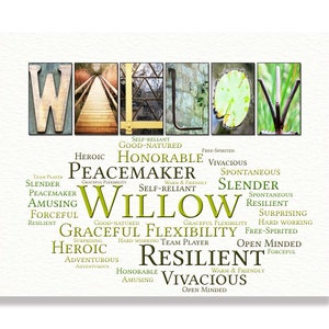 Custom Name Sign Wall Art Décor Personalized Gift Typography Poster Printable Art Name Meaning, 4 Digital Prints Willow or ANY NAME A-Z