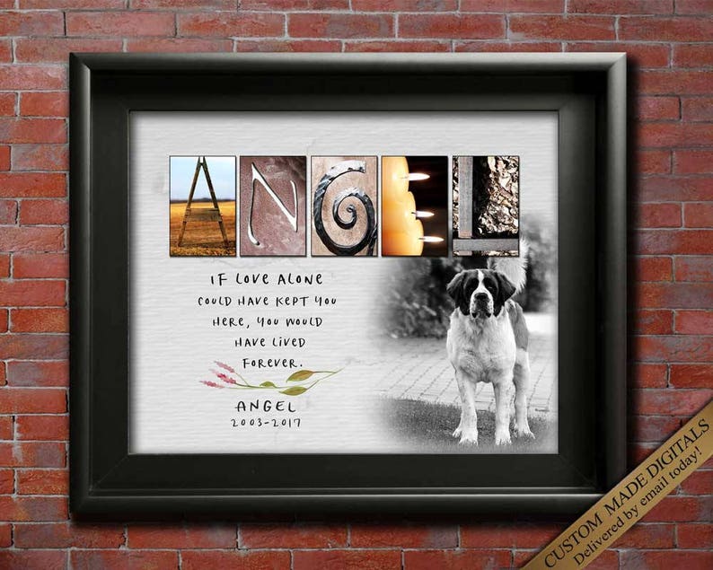 Dog Sympathy Gift for Dog Pet Sympathy Gift for Pet Loss Etsy