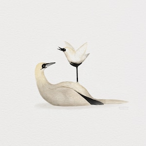 Cartel de ilustración “Aprende a volar” / Impresión / Ilustración / Obra de arte / Quebec / Animal / Pájaro / Gannet / Gaspésie imagen 2