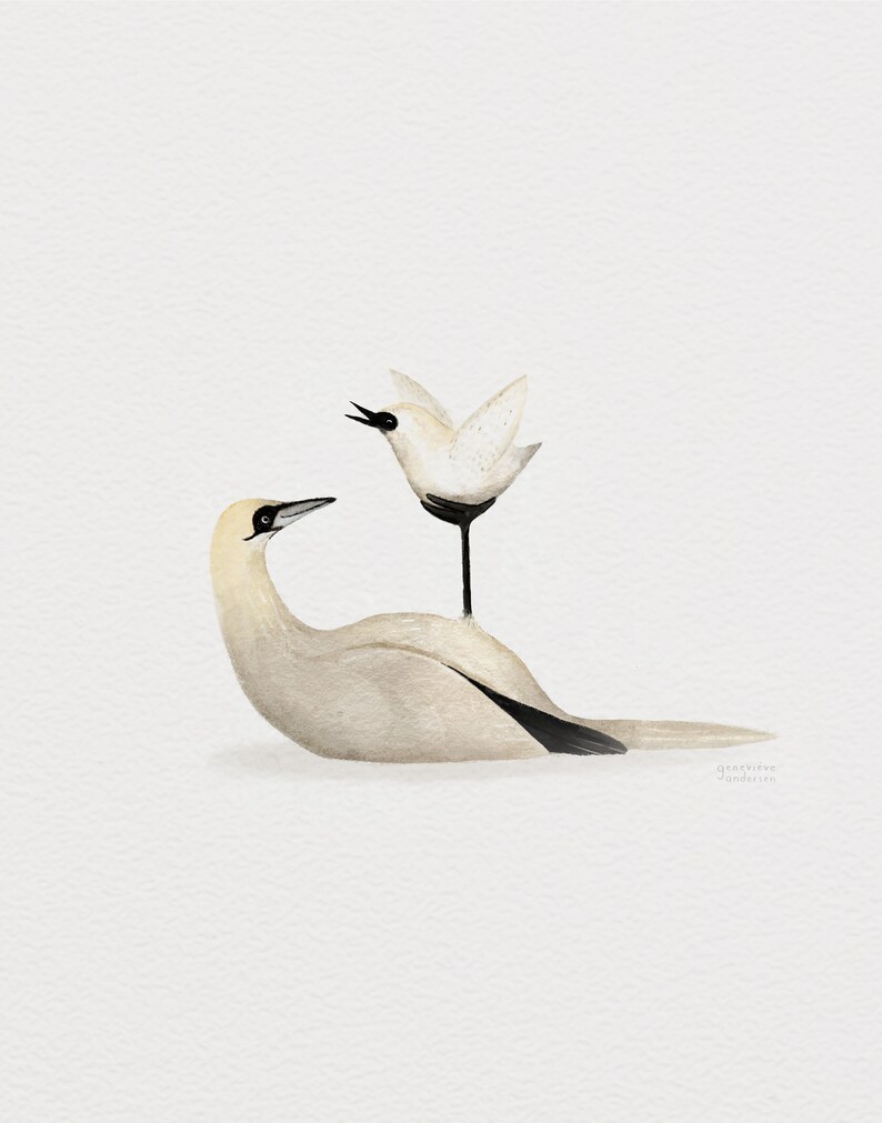 Cartel de ilustración “Aprende a volar” / Impresión / Ilustración / Obra de arte / Quebec / Animal / Pájaro / Gannet / Gaspésie imagen 2